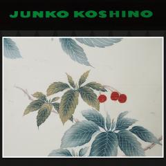 yn{dđ㍞݉izJUNKO KOSHINO 䂩| 䂩  n _ RVmWR uh WR RVm 䂩n a a  IV ̂ dĕt dďオ