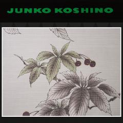 yn{dđ㍞݉izJUNKO KOSHINO 䂩| 䂩  n _ RVmWR uh WR RVm 䂩n a a  IV ̂ dĕt dďオ